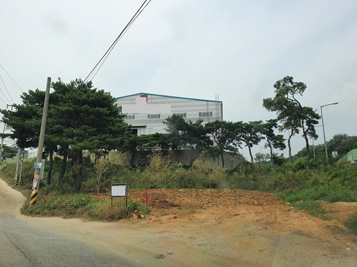 d95c878cfe2931c9e1e4524e8e74e143_1759295234_5611.jpg d95c878cfe2931c9e1e4524e8e74e143_1759295234_5611.jpg