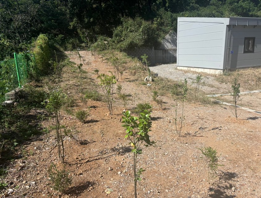 050bf71f5dd141048c1a3c8d576c3310_1765253714_4934.png 050bf71f5dd141048c1a3c8d576c3310_1765253714_4934.png